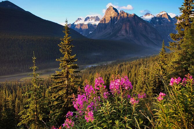 Icefields Parkway Self-Guided Driving Audio Tour - Private and Personalized Experience