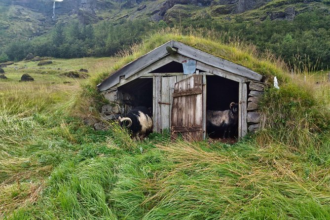 Iceland's South Coast G Spots Review - Our Verdict