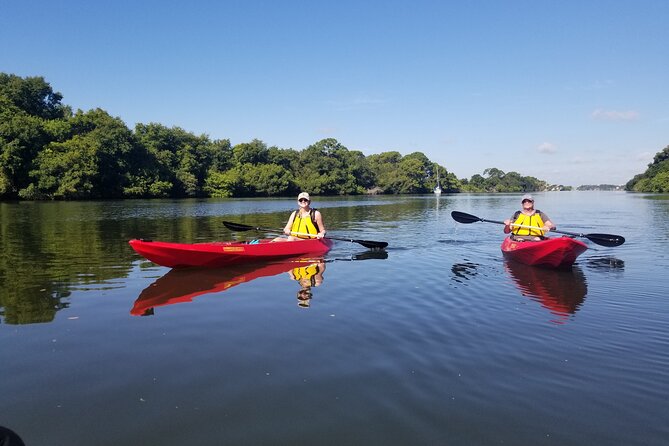 Indian River Clear Bottom Kayak or Paddleboarding Manatee and Dolphin Tour - Guests Experiences and Feedback