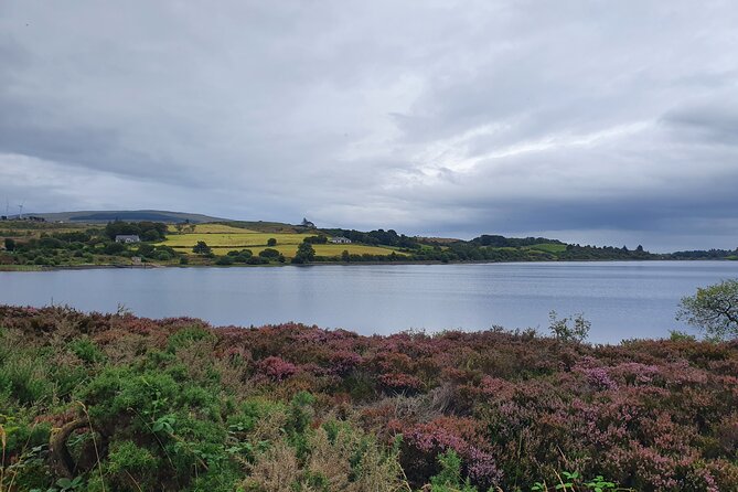 Ireland North Coast MEGA Trip for up to 8 Passengers - Accessibility and Infants