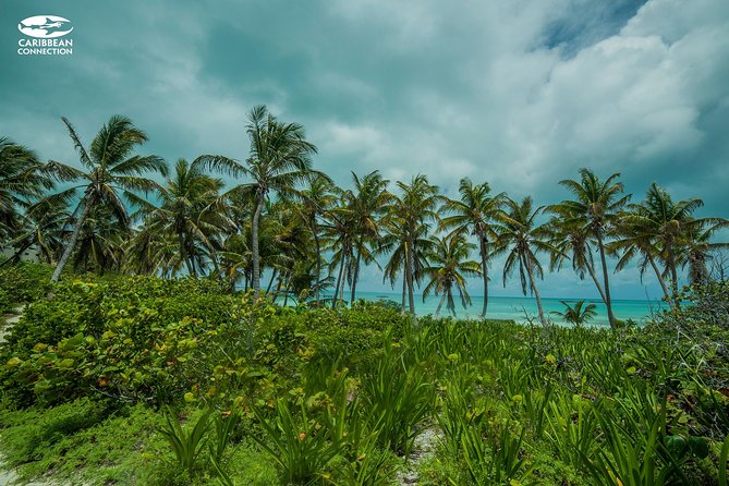 Isla Contoy Eco Adventure - Environmental Considerations