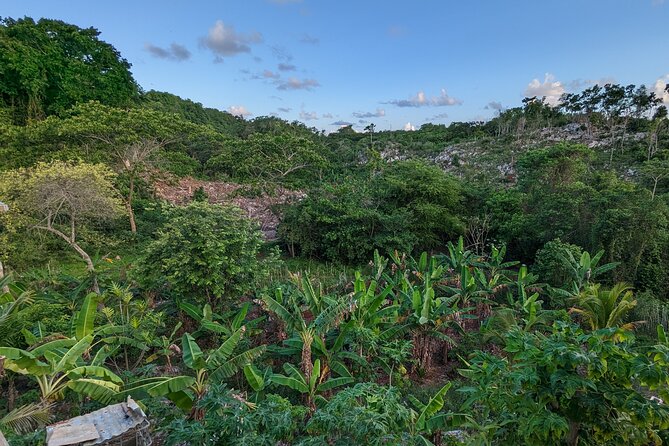Jamaican Roots Tropical Farm Tour - Explore & Chill (2 Hr) - Savoring Fresh Cuisine