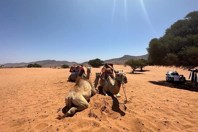 Jeep Safari Sahara Desert 4x4 Day Tour With Lunch - Tips for Travelers