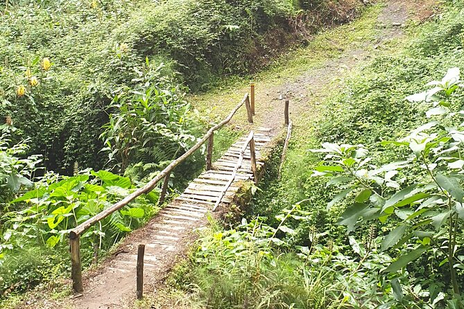 Join Us for the Amazing Sanguinho Forest Walk - Important Additional Information