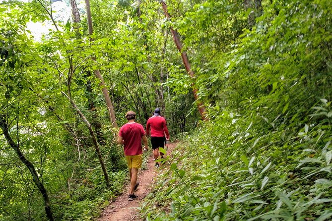 Jungle and Exotic Beaches, Hiking in Puerto Vallarta - Meeting Point and Return