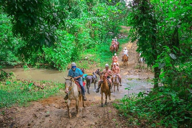 Jungle Buggies + Zilplining + Horseback Ride + Countryside + Macao Beach - Ziplining