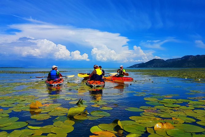 Kayak Guided Tour Skadar Lake - Adventure in National Park - Tour Highlights