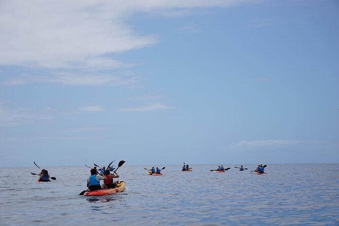 Kayak Safari & Snorkel - The Sum Up