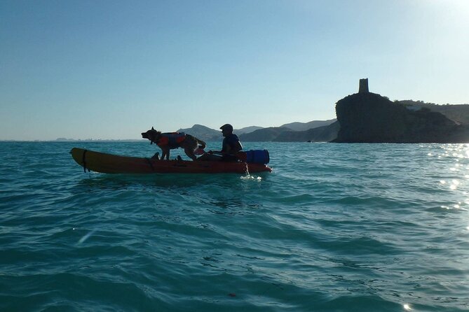 Kayaking With Dogs - Frequently Asked Questions