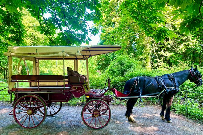 Killarney Jaunting Car Tour - Knowledgeable Guide and History