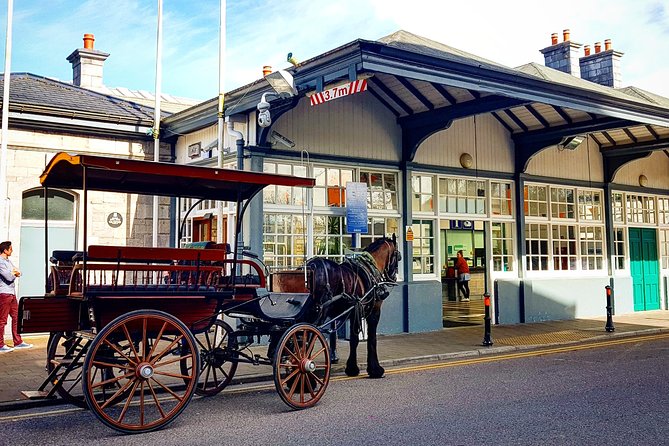 Killarney Jaunting Car Tour With Craft Brewery Beer & Pizza - Indulging in Craft Beer and Pizza