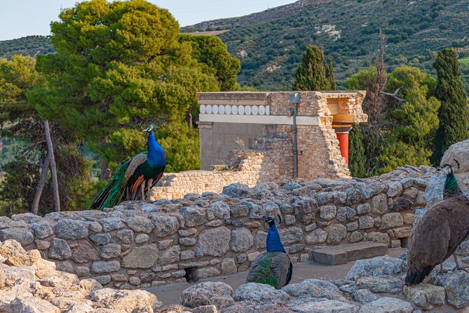 Knossos Palace Private Walking Tour - Exploring the Ancient Site