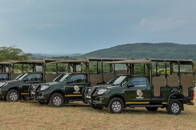 Kruger National Park Afternoon Private Safari - What to Expect on the Safari