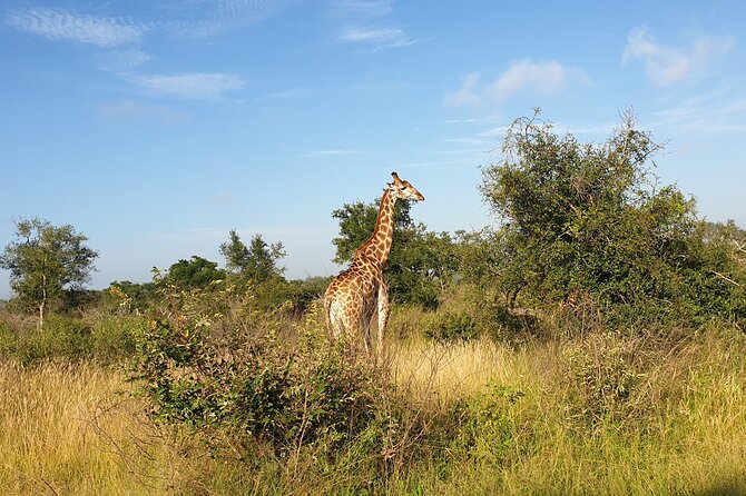 Kruger National Park & Panorama Route From Johannesburg 3 Days & 2 Nights - Booking & Cancellation
