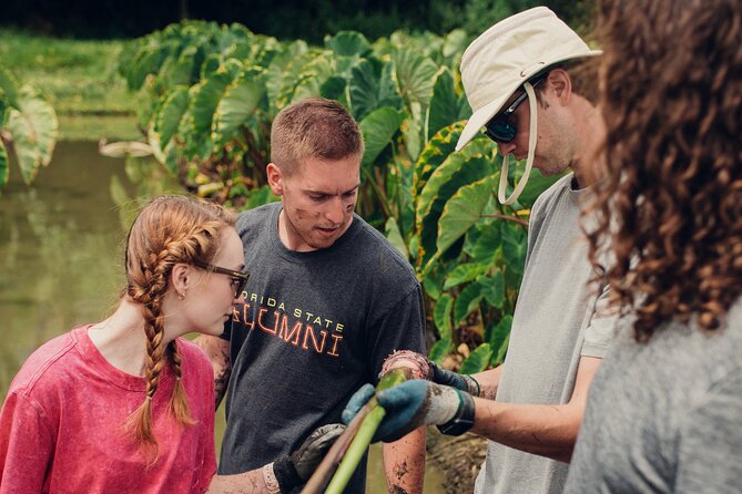 Kualoa Ranch: Malama Experience Tour - Things To Known