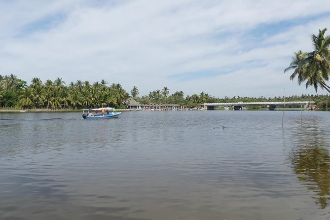 Lagoon Ride AfroMex Village Baby Turtle Release &Croc Farm Visit - Croc Farm Visit and Experiences