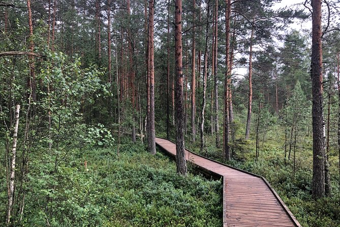 Lahemaa National Park in Estonia - Flexible Cancellation Policy