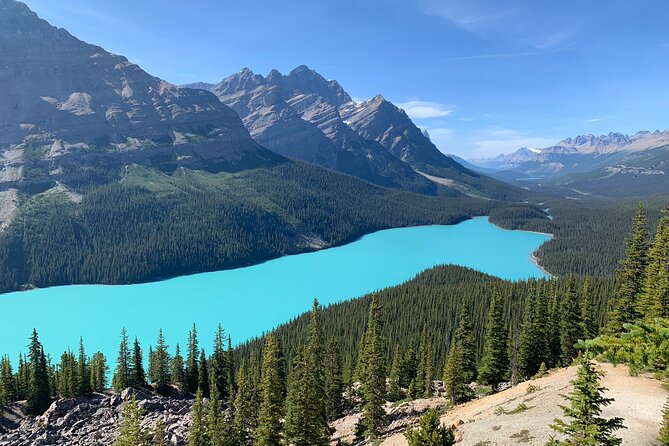 Lake Louise and the Icefields Parkway Full-Day Tour - Customer Reviews and Ratings