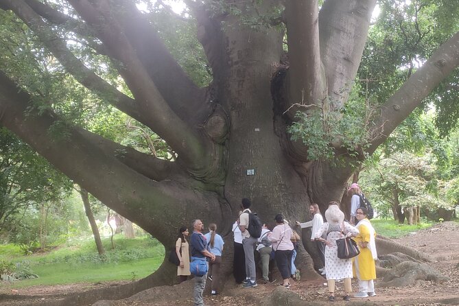 Lalbagh Botanical Garden Early Morning Walk + Breakfast at MTR - Tips for a Perfect Morning