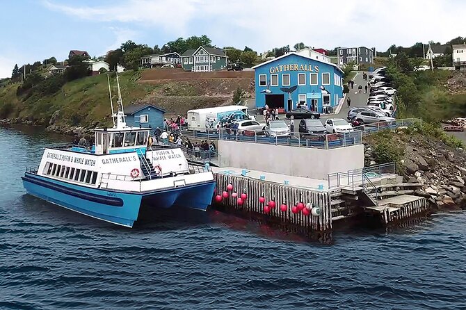 Late Season Puffin & Scenic Coastal Cruise - Additional Considerations