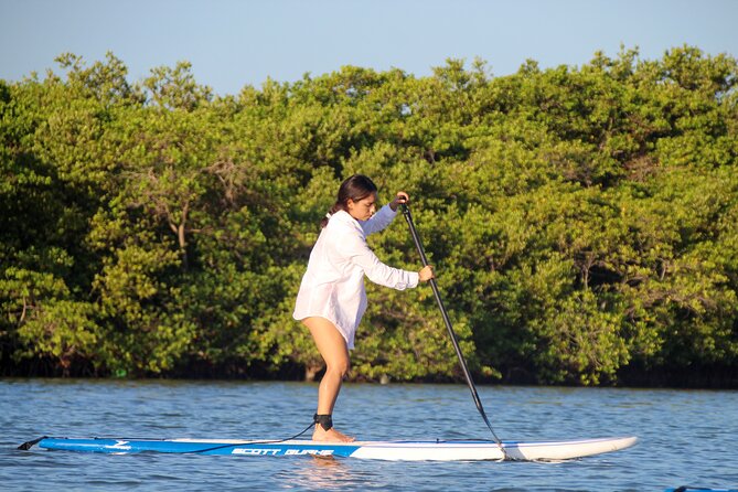 Learn Paddle Board and Explore the Mangroves of Progreso - Safety Considerations