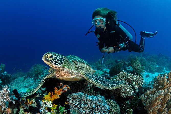 Learn to Scuba Dive With a Professional Instructor in Key Largo - All Inclusive - Instructor Qualifications and Support