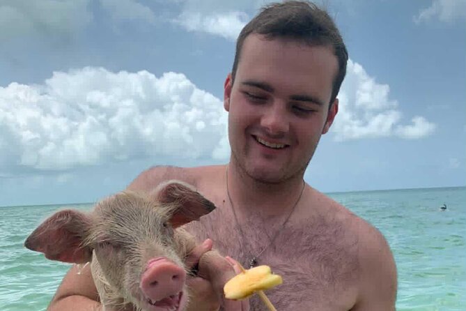 Lets Get Piggy With It: a Splashin Good Time With the Pigs! - What to Expect on the Tour