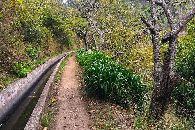 Levada Do Norte - Walking Tour - Availability