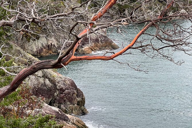 Lighthouse Park Hike - Additional Options