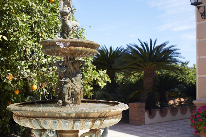 Live an Experience Among Orange Trees in Huerto Ribera - Transportation and Location