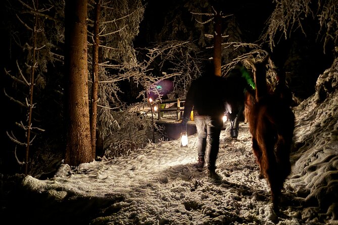 Llama Hike With Homemade, Traditional Cheese Fondue - Llamas and Fondue Experience
