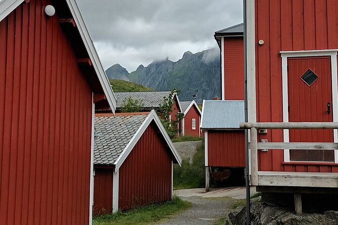 Lofoten VIP PRIVATE Tour From Leknes City / Port - Tour Itinerary and Schedule