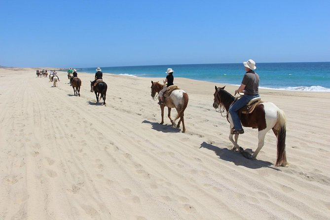 Los Cabos Horseback Riding - Frequently Asked Questions