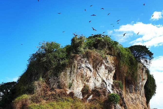 Los Haitises National Park Hiking 2 Hours and Kayaking 4 Hours - Frequently Asked Questions