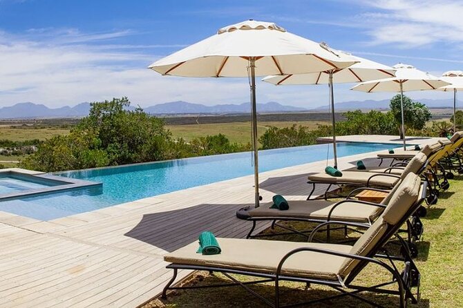 Luxury 2-Day In & Out Garden Route Safari Tour - Accessibility and Inclusivity