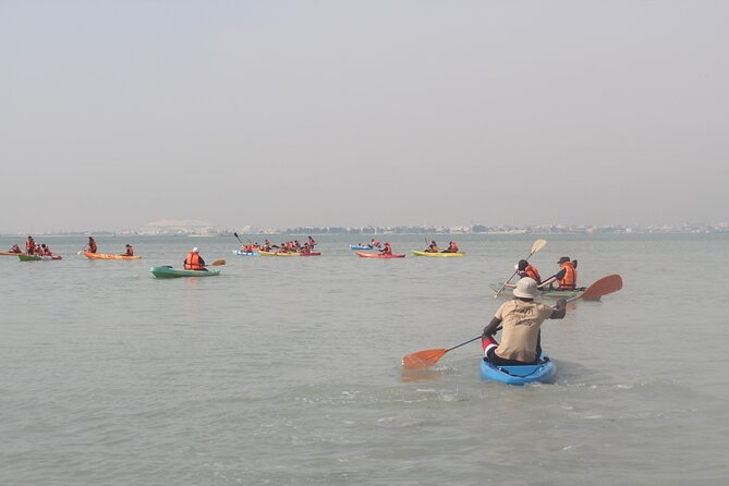 Mangrove Kayaking Purple Island Adventure - Final Thoughts