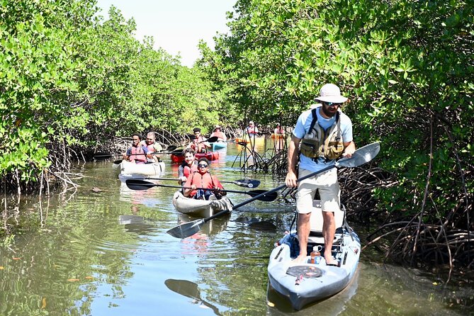 Mangrove Tunnel Kayak Eco Tour - Customer Feedback