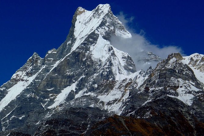 Mardi Himal Trek – 12 DAYS - Guest Reviews and Feedback