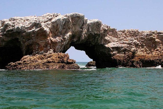 Marietas Islands Snorkeling & Hidden Beach (W/ Restrictions) - Educational Opportunities and Wildlife