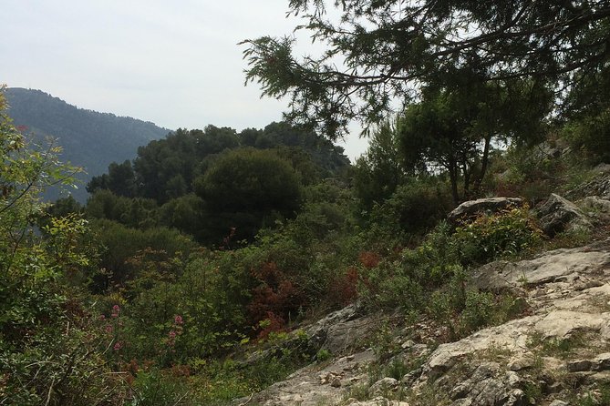 MARSEILLE Shore Excursion Full Day Private Tour: Taste of Provence - The Sum Up