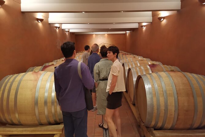 Marseille Shore Excursion - Full Day Wine Tour in Provence - Cruise Passenger Exclusivity