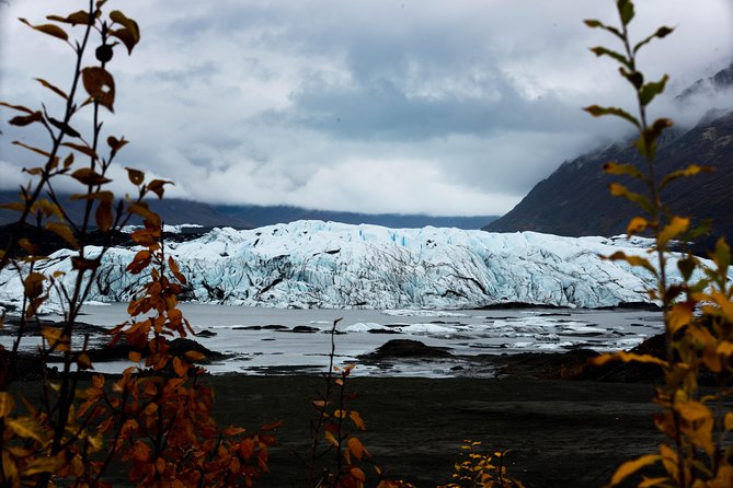 Matanuska Glacier Wildlife & Wilderness Photo Tour From Anchorage - Sum Up