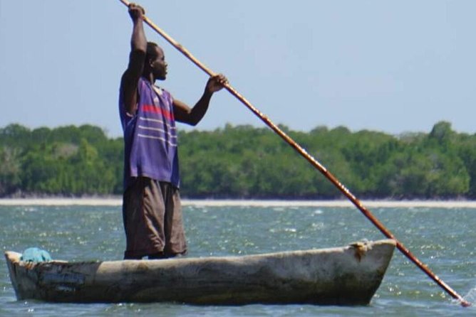 Mida Creek Boardwalk and Canoa Ride - Private Tour for a Personalized Experience