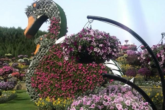 Miracle Garden & Butterfly Garden With Ticket & Private Transfers - Customer Reviews and Ratings