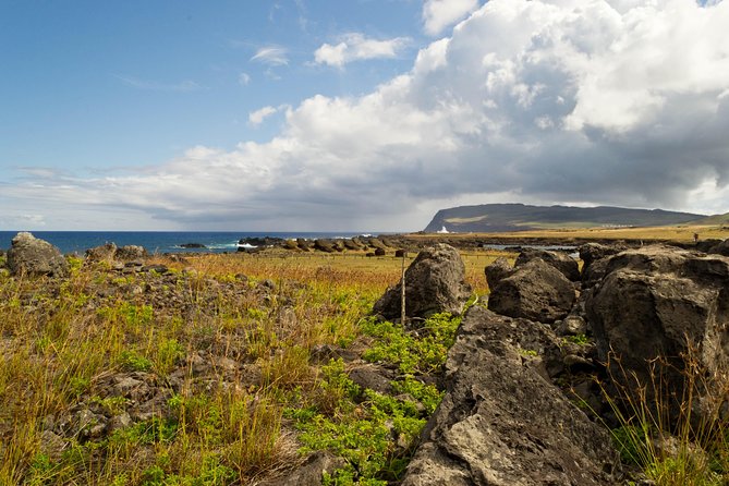 Moai Rise and Fall: Full Day Private Tour - Tour Logistics and Inclusions