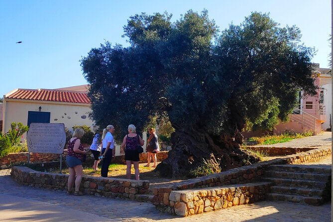 Monastery - Ancient Olive Tree & Museum-Cretan Brewery Private Tour From Chania - Cretan Brewery Experience