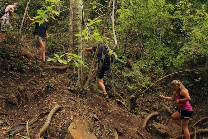 Monkey Mountain Jungle Hike Adventure - Frequently Asked Questions
