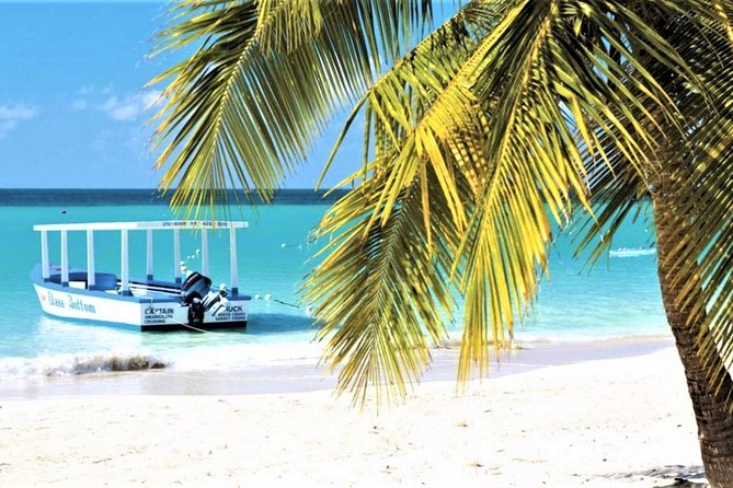 Montego Bay Shore Excursion: Doctors Cave Beach & Montego Bay City Highlights - About the Provider