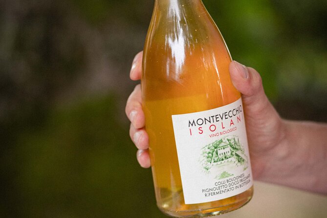 Montevecchio Isolani Wine Tasting Experience - Booking and Confirmation