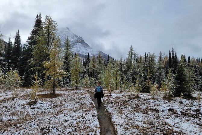 Moraine Lake: Larch Valley Hike, Departure From Banff - Booking and Reservations